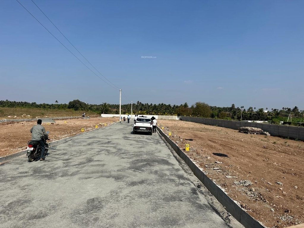 annam avenue Internal Roads & Footpaths