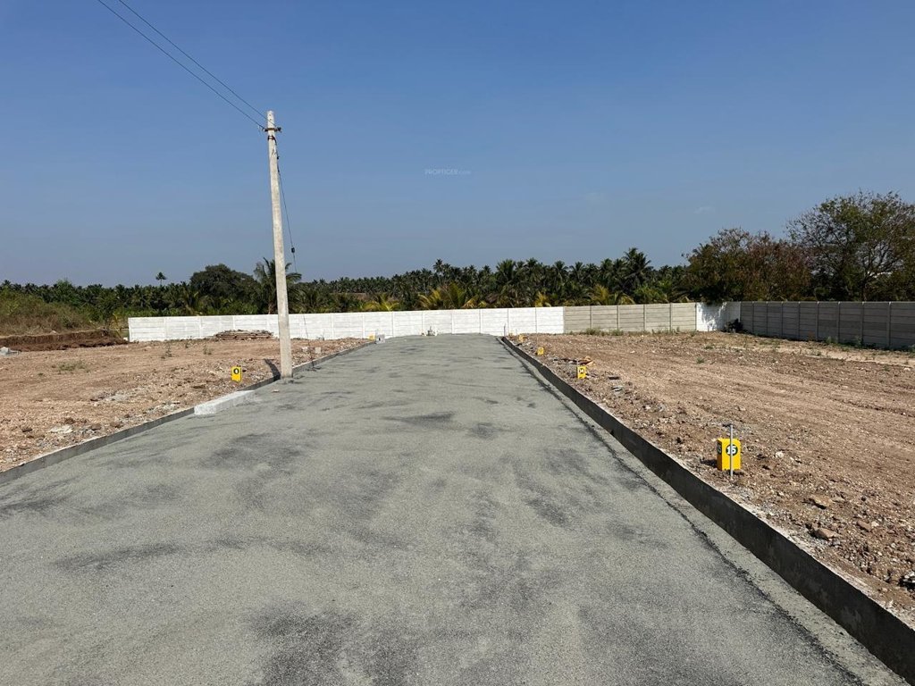annam avenue Plot