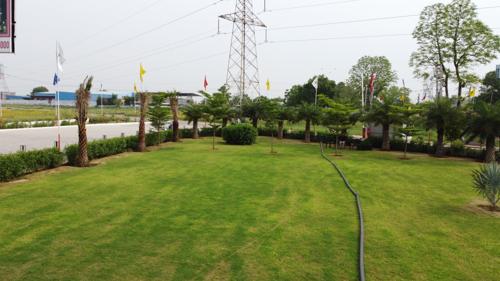  golden-gate-residency-ii Landscape Garden and Tree Planting