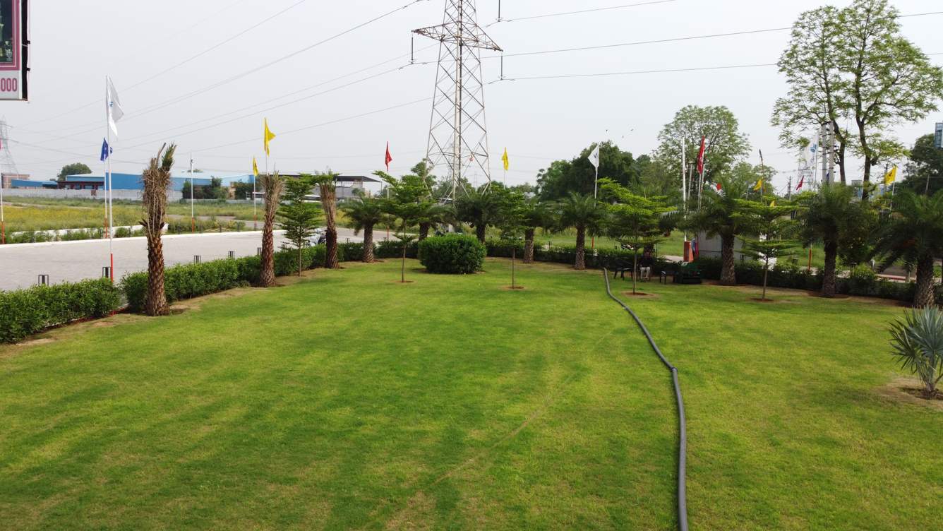  golden gate residency ii Landscape Garden and Tree Planting