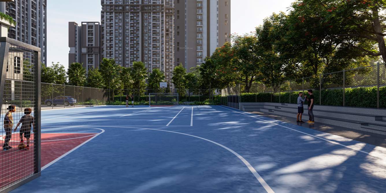  aaria Basketball Court