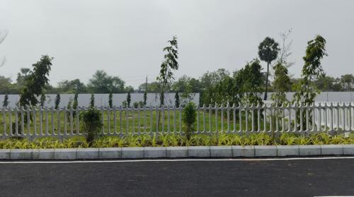  park-square Landscape Garden and Tree Planting
