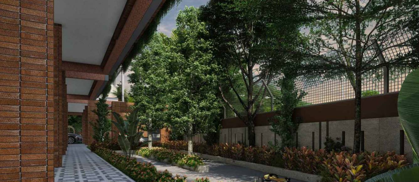  olive and oak Others