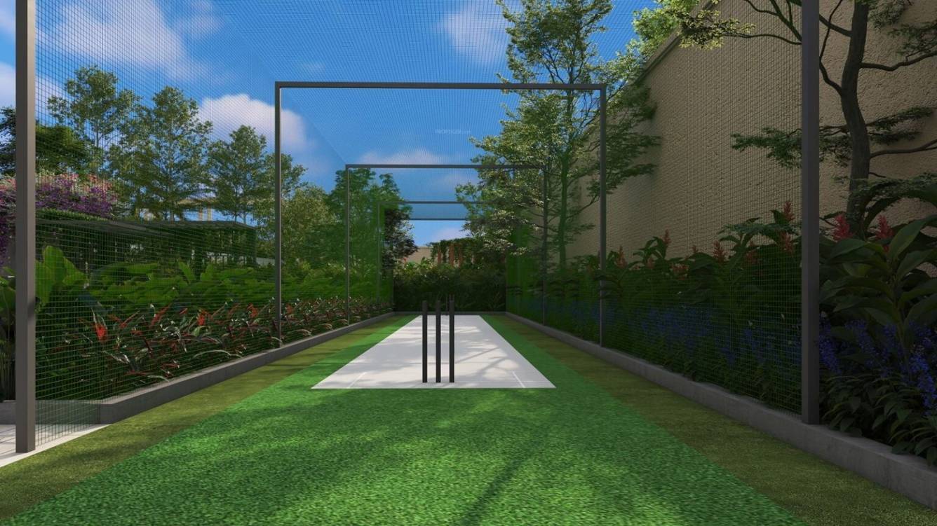  samuha Cricket arena