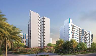 Elevation tropica-phase-2 Elevation