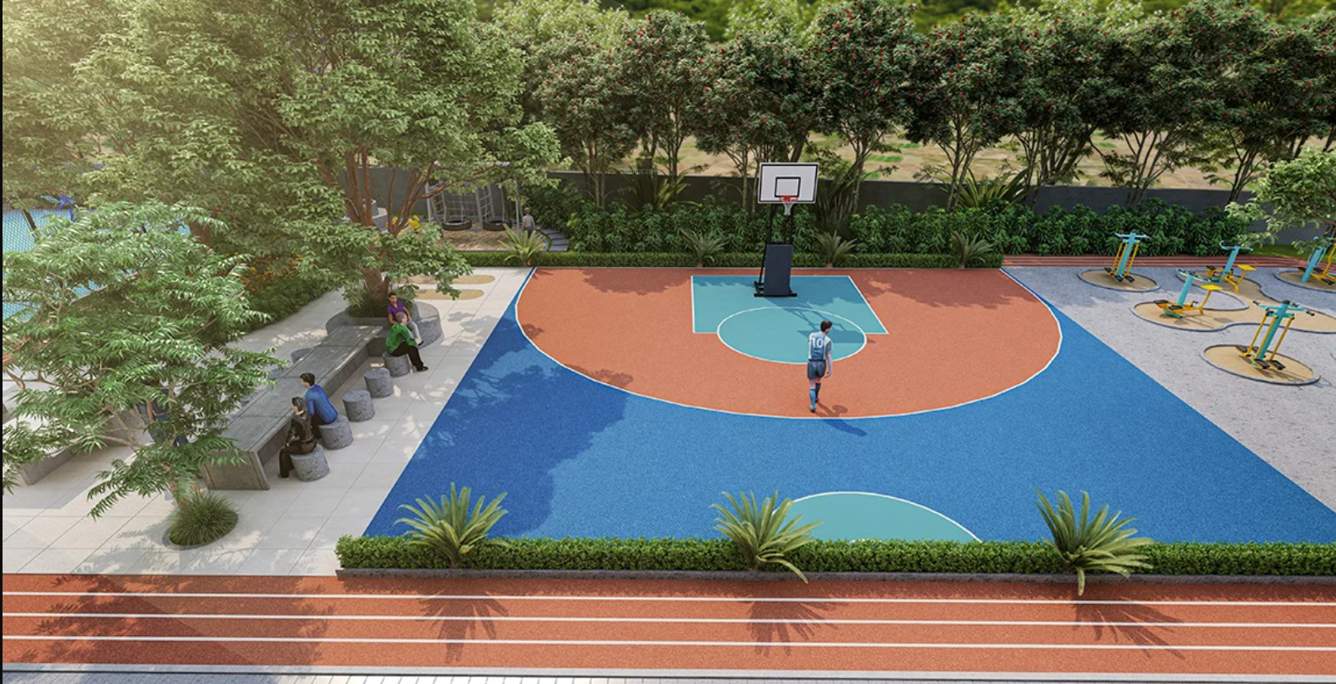  simplicity Basketball Court