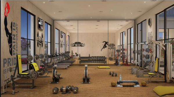  simplicity Gymnasium