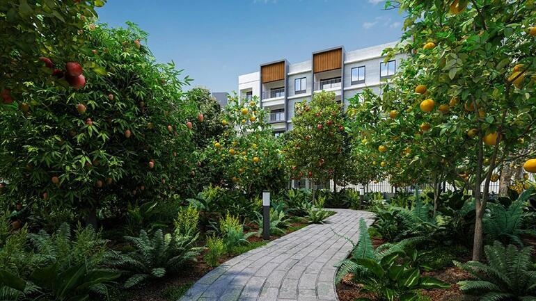  simplicity Jogging Track