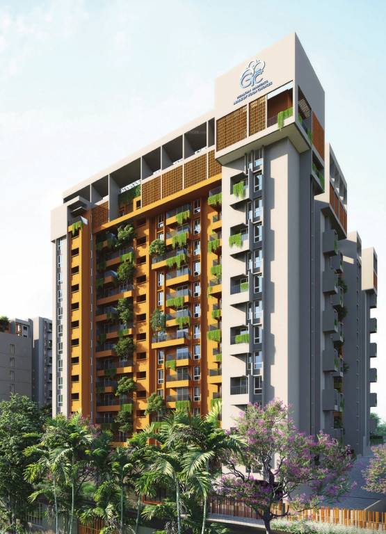  codename sunday Elevation