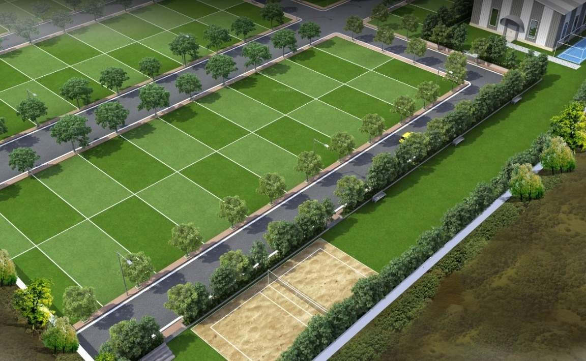  golf green phase ii Landscape Garden and Tree Planting