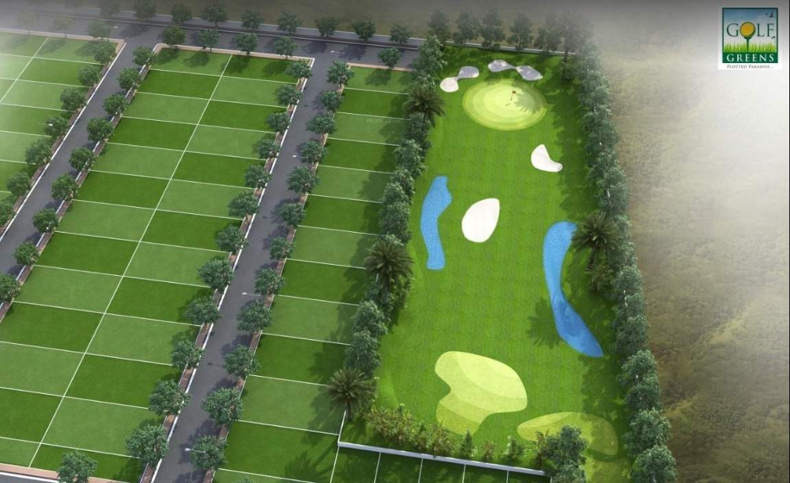  golf green phase ii Landscape Garden and Tree Planting