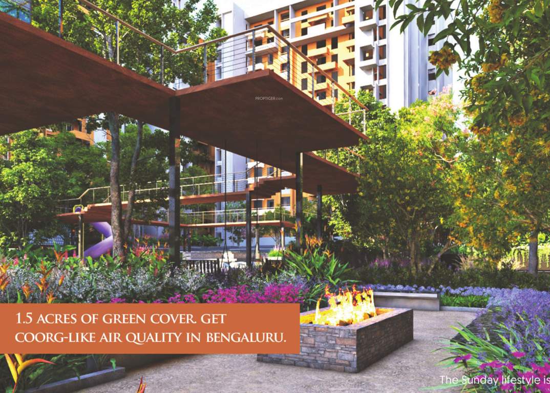  sapphire spring phase 3 Landscape Garden and Tree Planting