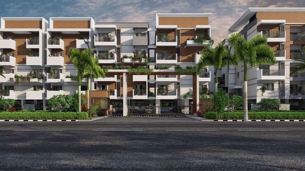 Elevation s allure Elevation