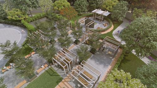  vivera Landscape Garden and Tree Planting