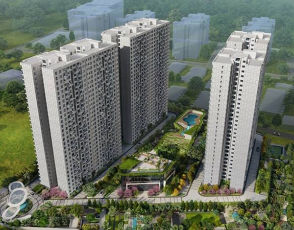  dale-south-1 Elevation