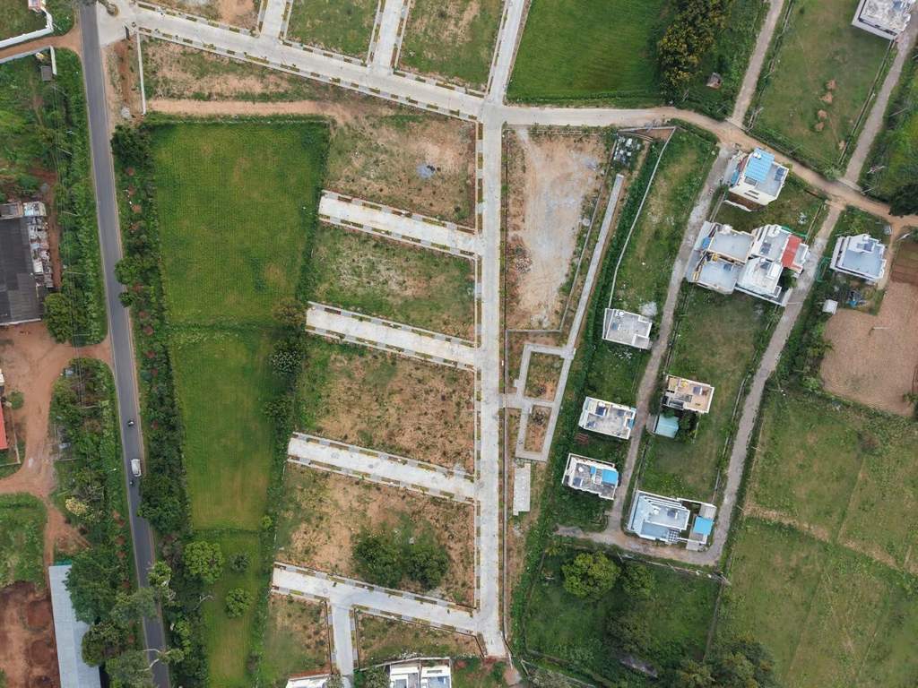  poorva phalguni Plot