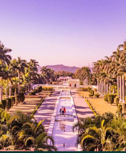  vista-45 Landscape Garden and Tree Planting