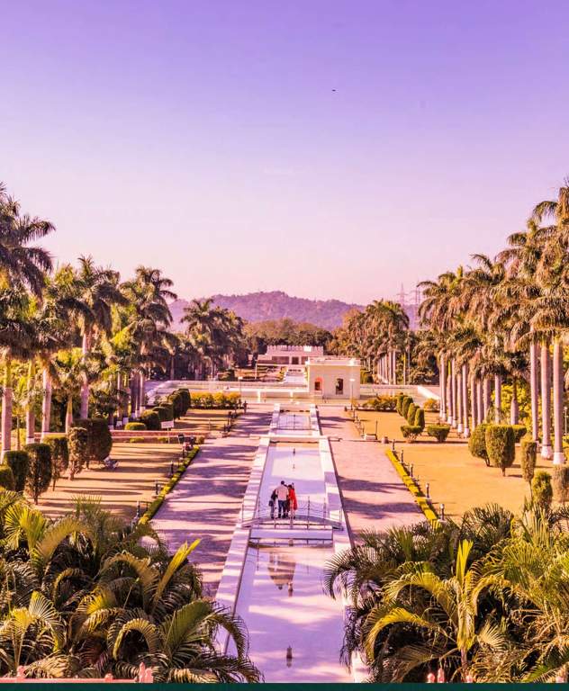  vista 45 Landscape Garden and Tree Planting