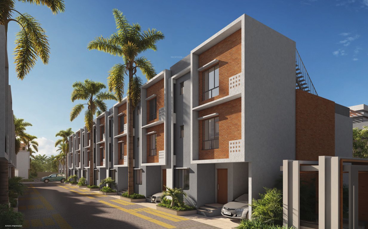  palm grove Elevation