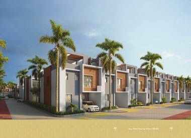 Elevation palm-grove Elevation