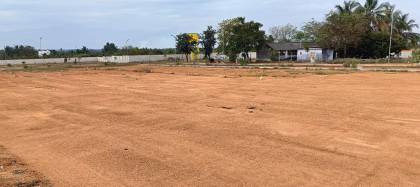  miracle-city Elevation