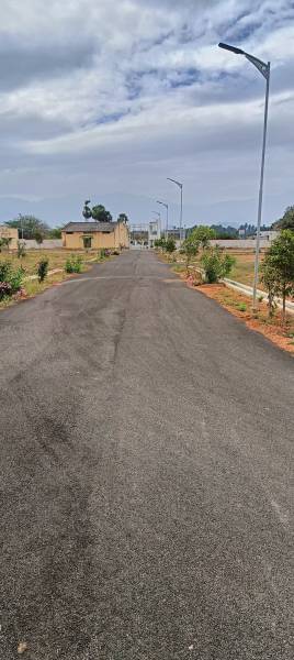  miracle-city Internal Roads & Footpaths