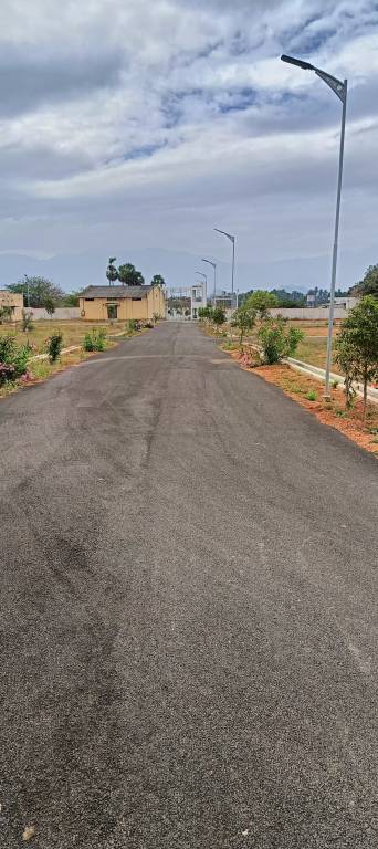  miracle city Internal Roads & Footpaths