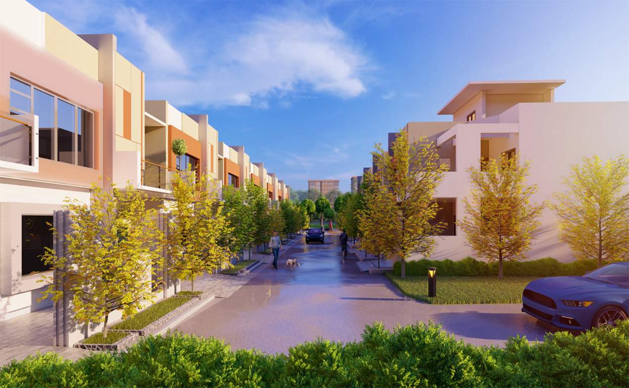  vedanta vihar Internal Roads & Footpaths