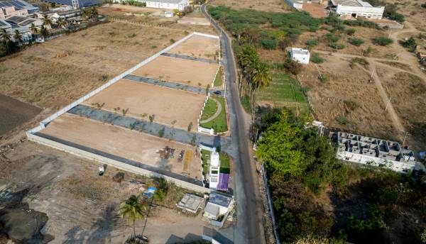 Plot acacia-garden Plot