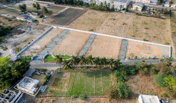 Plot acacia-garden Plot