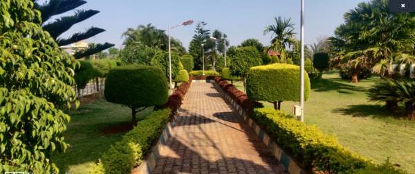 Plot mahogany-cool-winds Plot