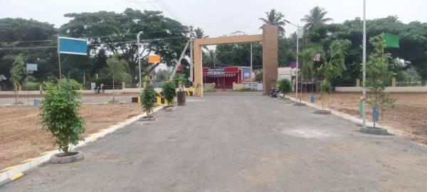  mountain-view Internal Roads & Footpaths