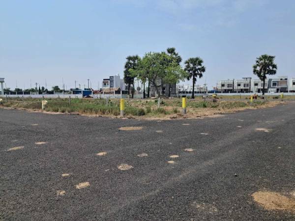  dollers-colony-phase-ii Plot