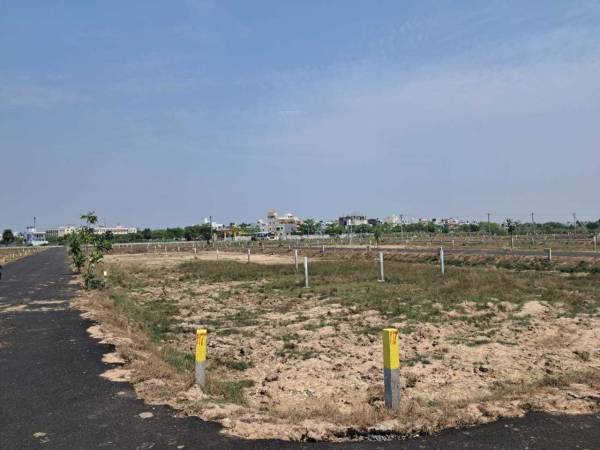  dollers-colony-phase-ii Plot