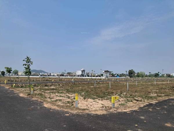  dollers-colony-phase-ii Plot