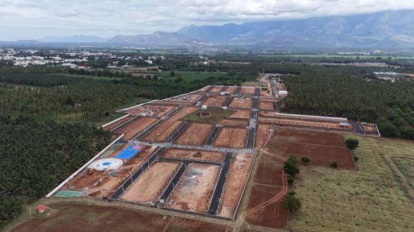 Plot golden-acre Plot