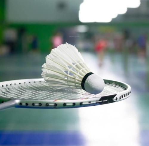  vista Badminton Court