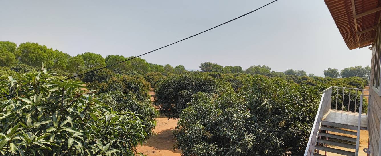  aashritha mango garden Plot