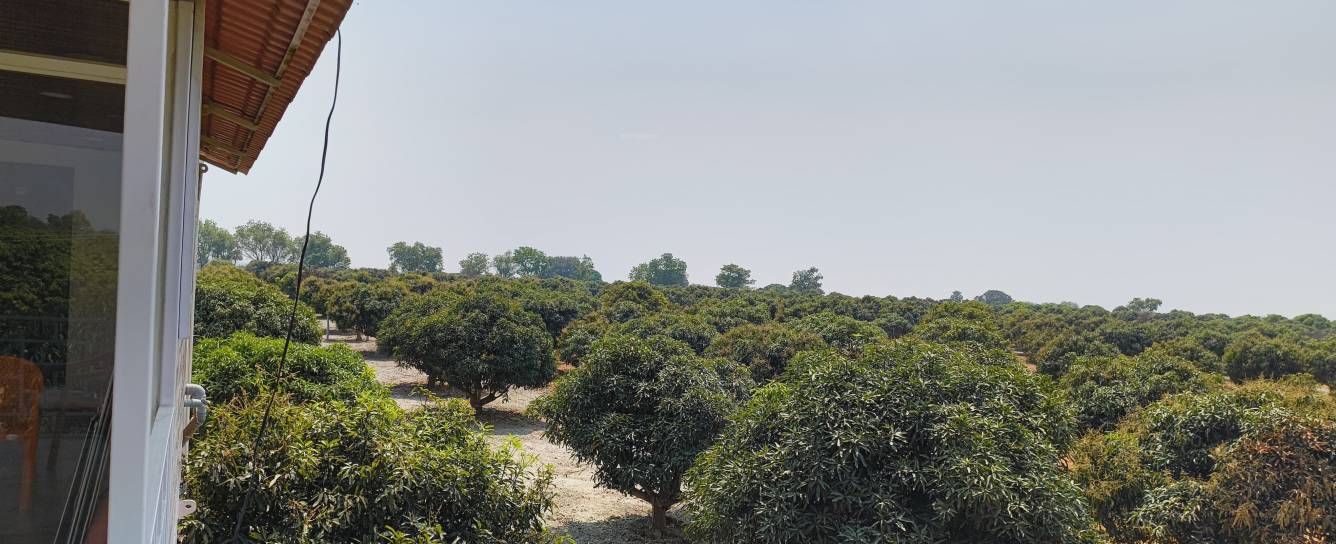  aashritha mango garden Plot