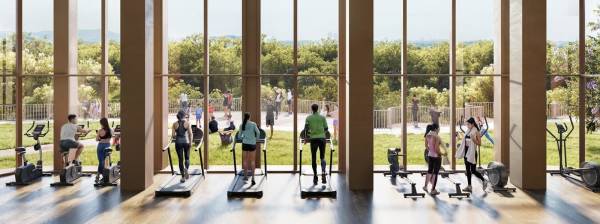  punya-phase-1 Gymnasium