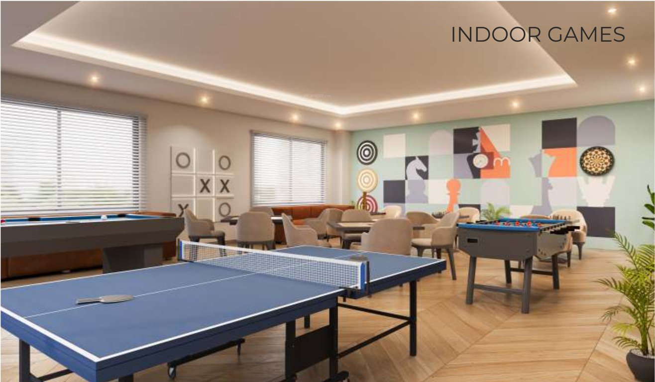  sky living Indoor Games