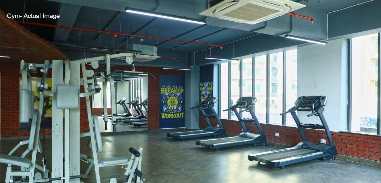  world avenue 07 Gymnasium