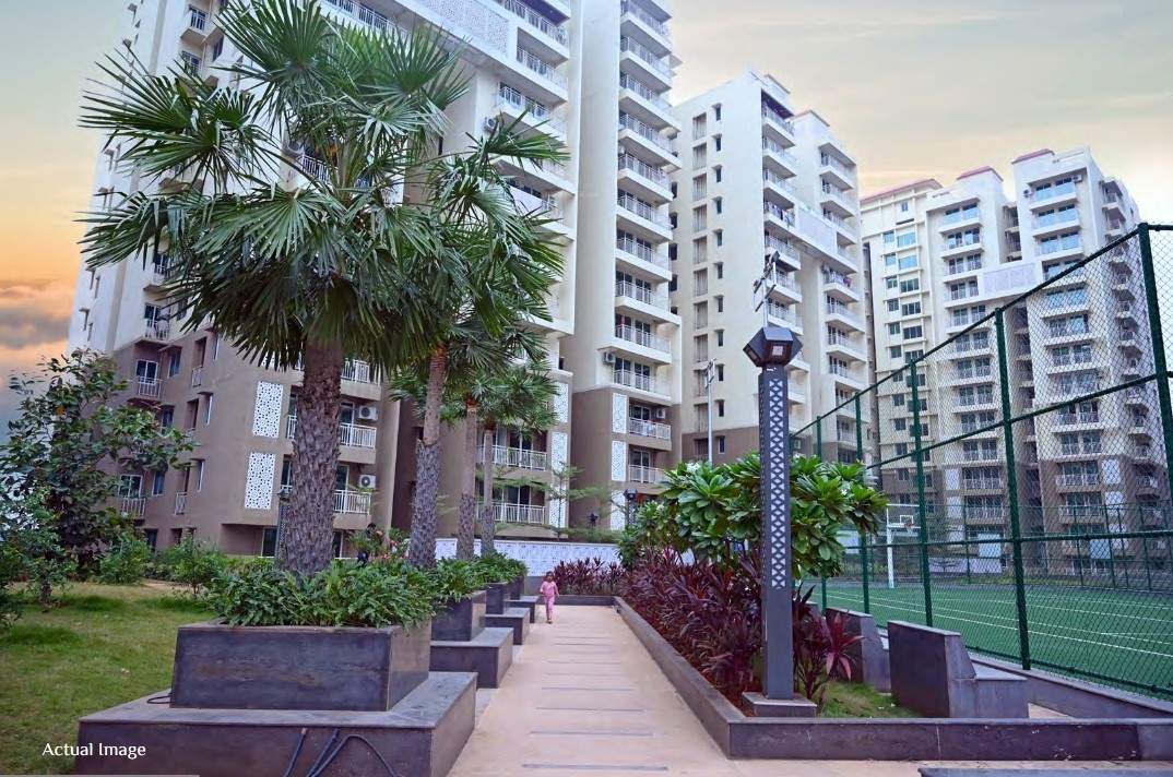  world avenue 07 Paved Compound