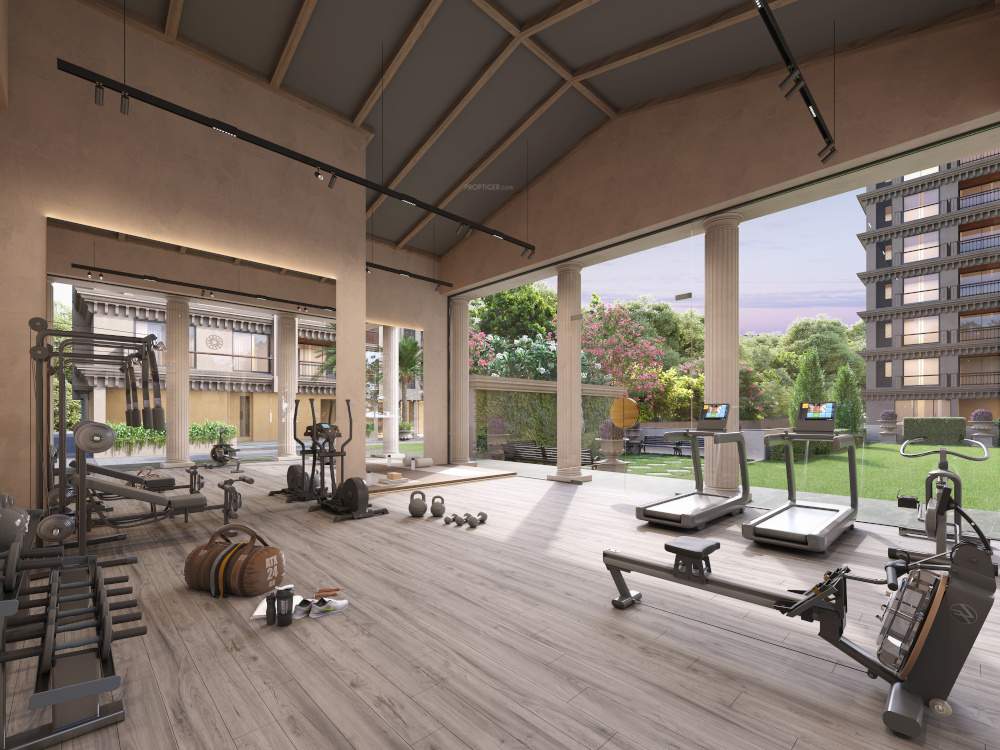  the stately and calista Gymnasium