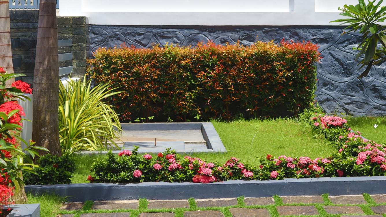 seventh avenue Landscape Garden and Tree Planting