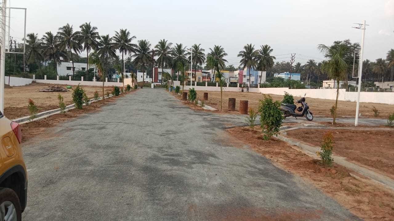 springfield Internal Roads & Footpaths