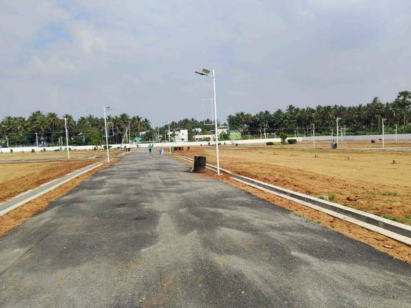  springfield Internal Roads & Footpaths