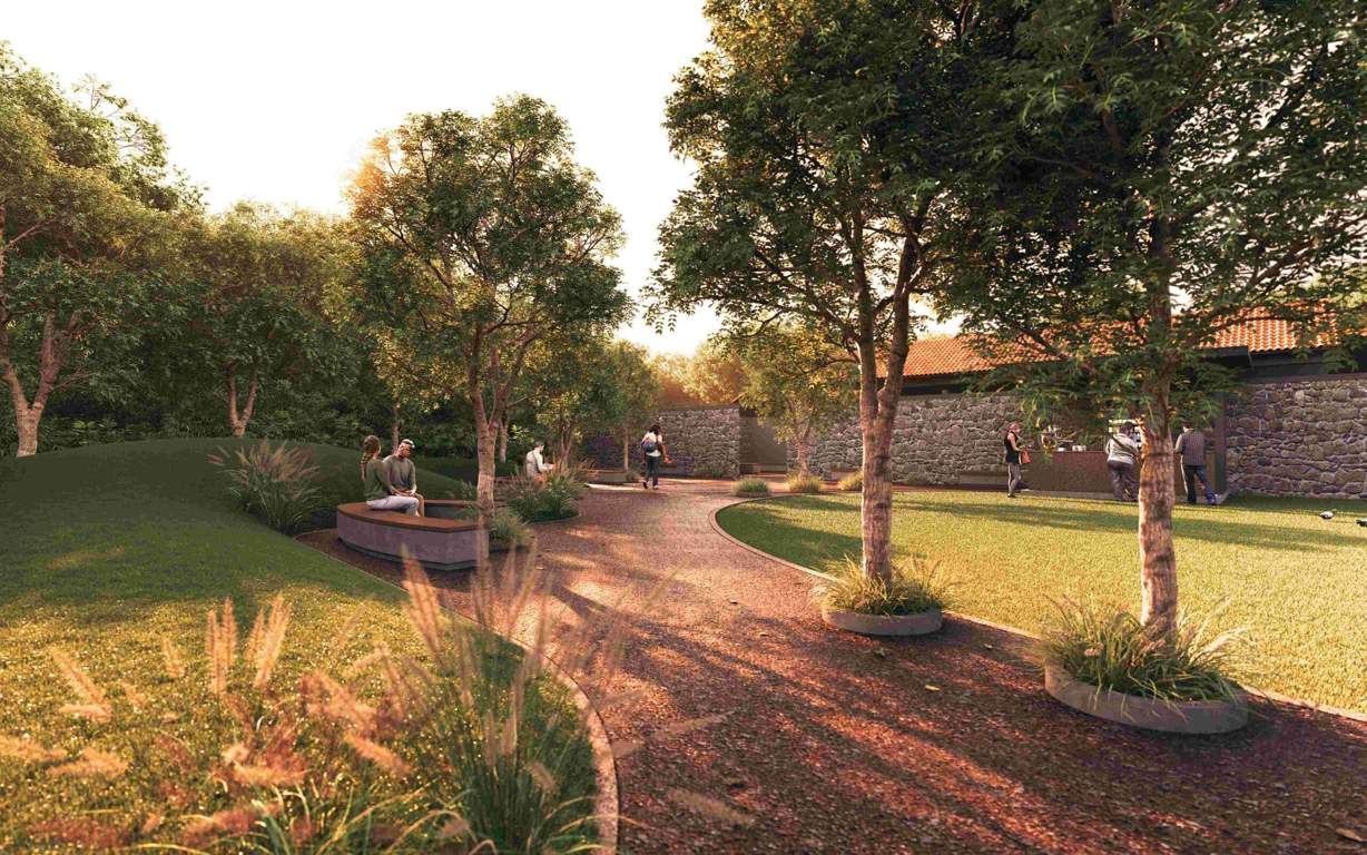  roseate roots Landscape Garden and Tree Planting