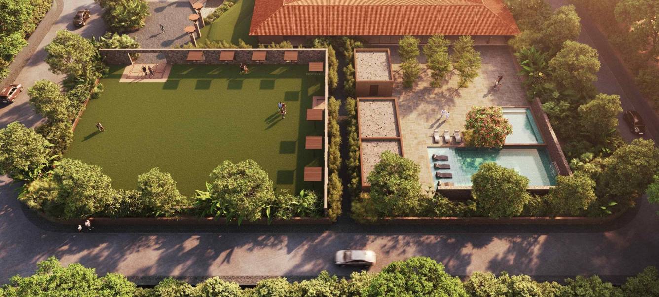  roseate roots Others