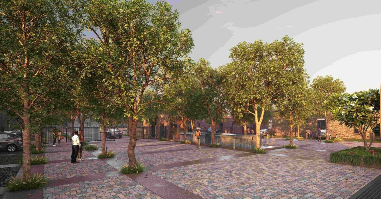  roseate roots Others